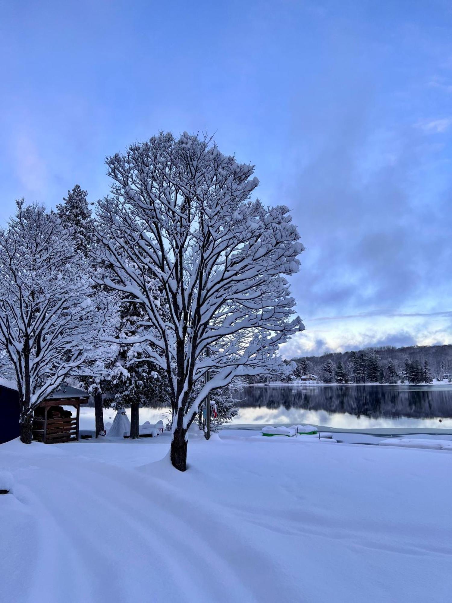 Bonnie View Inn Haliburton Kültér fotó